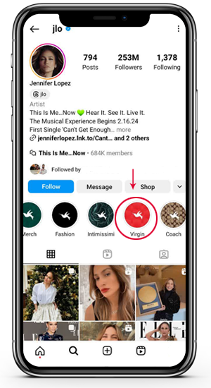 instagram highlight download